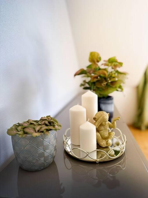 V Centru Deni Apartment ออลอโมตซ์ ภายนอก รูปภาพ