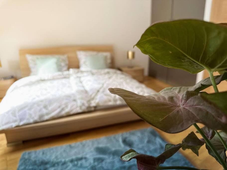 V Centru Deni Apartment ออลอโมตซ์ ภายนอก รูปภาพ